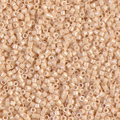 DB-0204 Miyuki Delica Seed Beads DB0204--10Grams