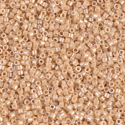 DB-0205 Miyuki Delica Seed Beads DB0205--10Grams