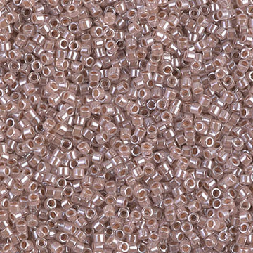 DB-0256 Miyuki Delica Seed Beads DB0256--10Grams